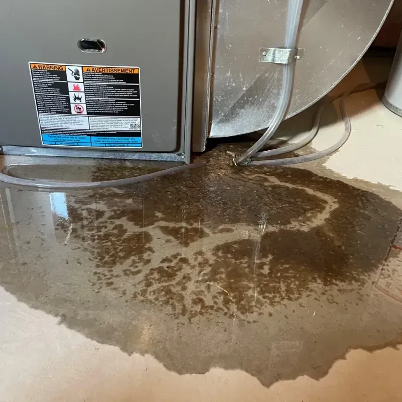 Appliance Leak Cleanup in Muscle Shoals, AL